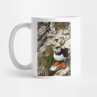 Puffin on a cliff edge Mug